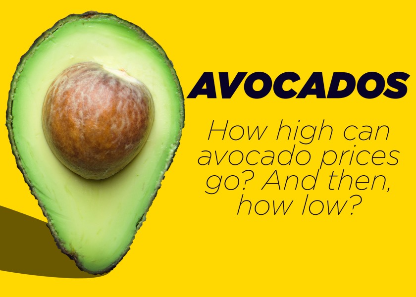 Avocado price deals